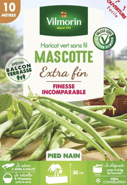 Légumes Secs - Haricot Nain Vert Mascotte - 10 m - PACKAGING_RECTO